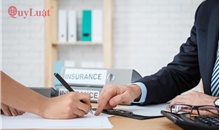 Dịch vụ trọn gói Work Permit - Visa - Thuế Giải pháp tối ưu cho doanh nghiệp FDI năm 2026