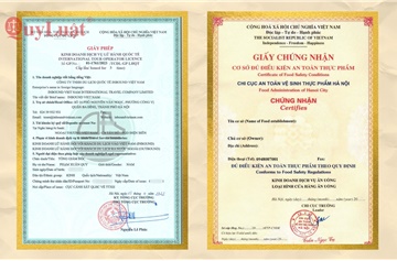 Giấy phép con là gì? Tổng hợp danh mục và hướng dẫn thủ tục mới nhất 2026