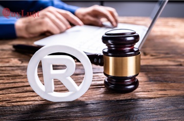 Dịch vụ đăng ký bảo hộ nhãn hiệu và logo trọn gói để bảo vệ tài sản trí tuệ bền vững